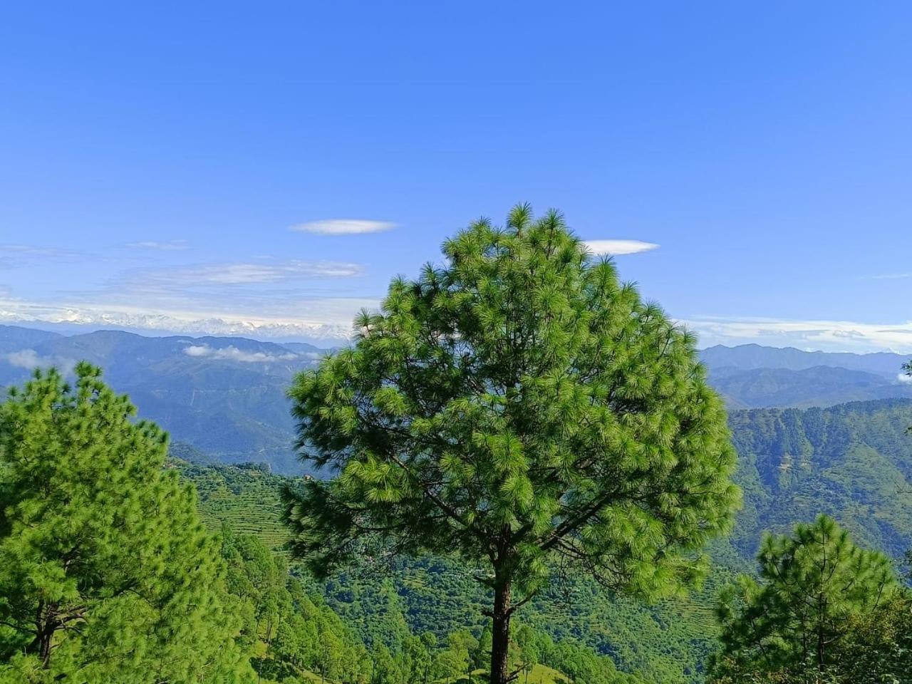 Joshi Holiday Home Stay Lansdowne Buitenkant foto